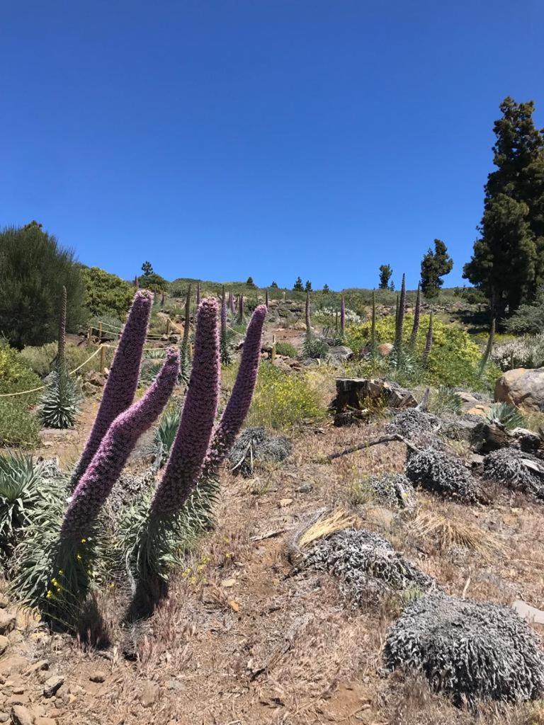 Finca Caboquitos Garafia Bagian luar foto