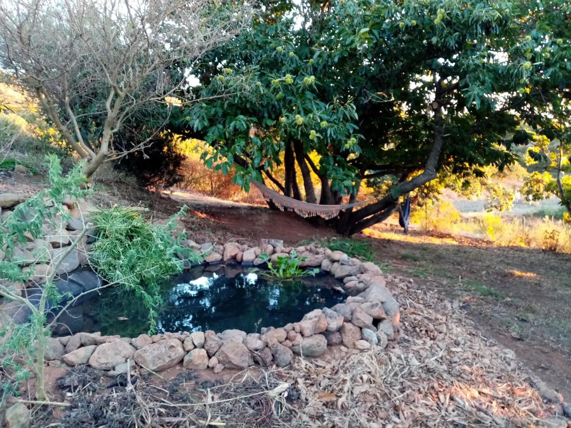 Finca Caboquitos Garafia Bagian luar foto